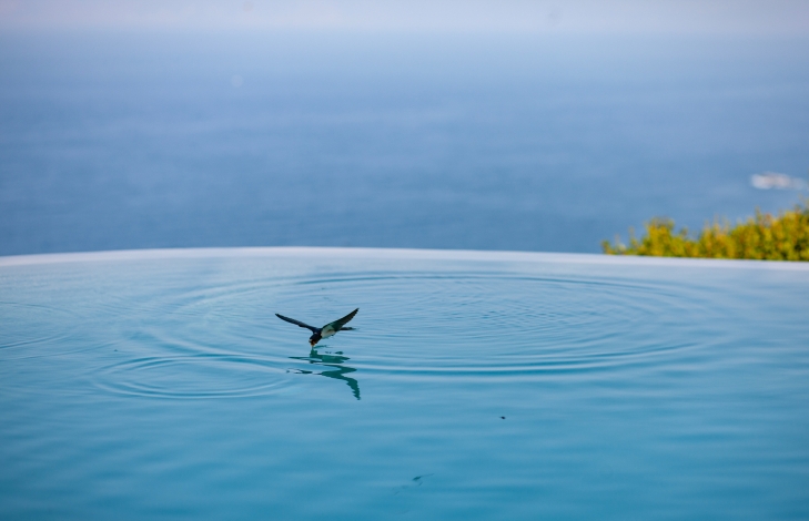 Private pool villa, swallows, Image 25