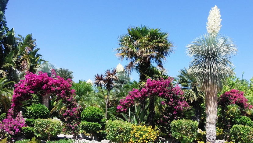 Villa Sutherlea, Tropical garden, Image 3