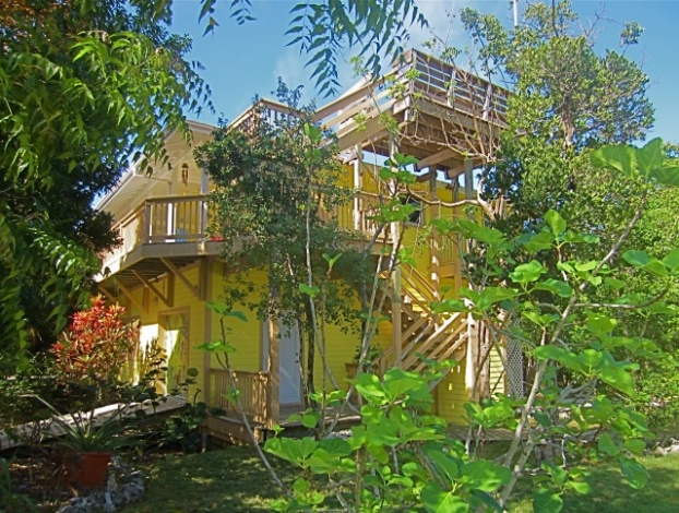 Bahamas Retreat, Gone Bananas...privacy in the tree tops, Image 1