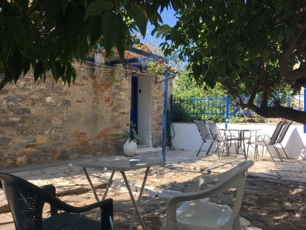 House in Samos, View of house from under citrus trees, Image 13