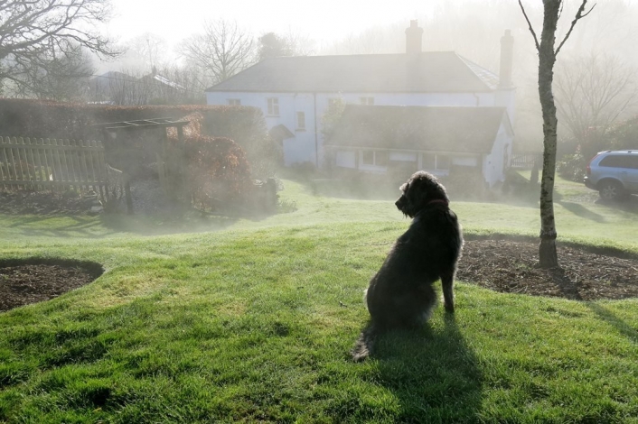 Hartwell, Keeping watch on a misty morning, Image 20